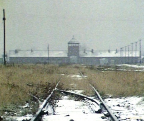 Shoah [Blu-Ray]