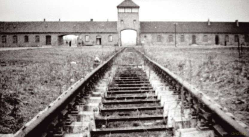 Shoah [Blu-Ray]