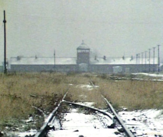 Shoah - Restaurierte Fassung [DVD]