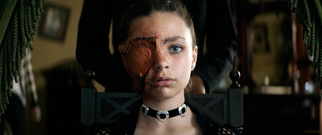Skinford: The Curse [DVD]