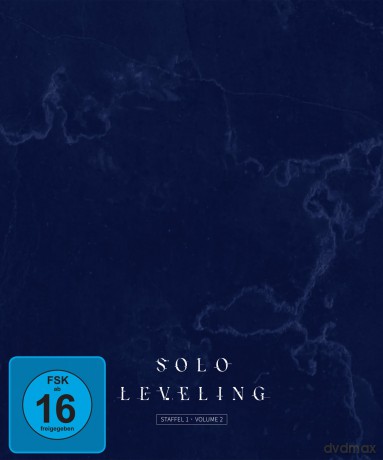Solo Leveling - Staffel 1 -Vol. 2 - [DVD]