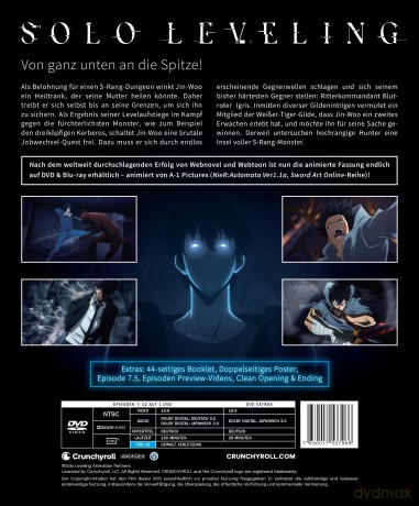 Solo Leveling - Staffel 1 -Vol. 2 - [DVD]
