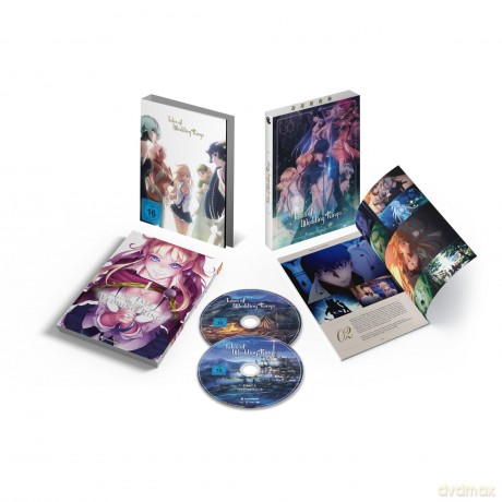 Tales of Wedding Rings - Staffel 1 - Gesamtausgabe - + Manga [DVD]