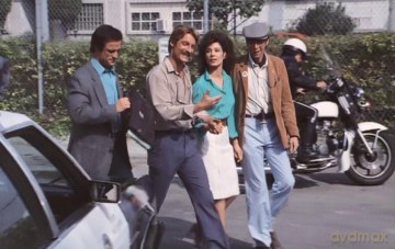 Trio mit 4 Fäusten - Die komplette 58-teilige Kult-Serie - in Sammlerbox [DVD]