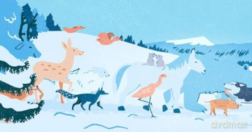 Weihnachten der Tiere [DVD]
