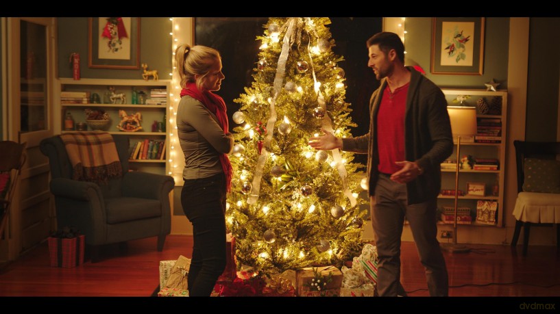 Weihnachten in Mistletoe - Ein Wintermärchen [DVD]