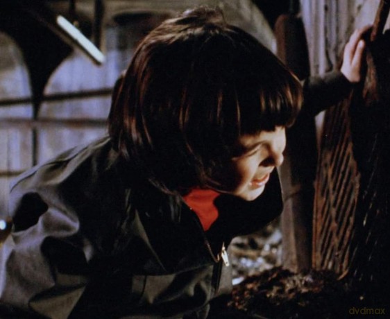 Wenn Tiere töten - Die Horror-Trilogie der 1970er mit Willard, Ben und Pigs in einer Sammleredition auf DVD [DVD]