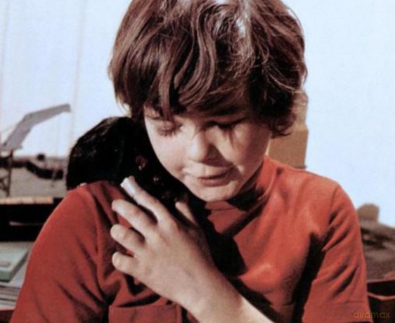 Wenn Tiere töten - Die Horror-Trilogie der 1970er mit Willard, Ben und Pigs in einer Sammleredition auf DVD [DVD]