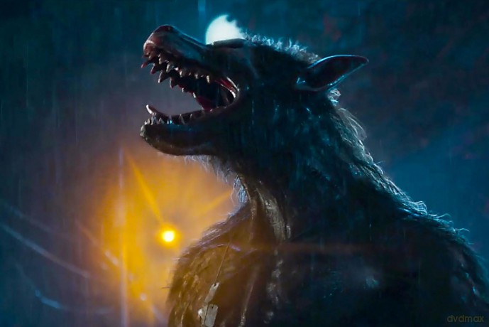 Werewolves [DVD]