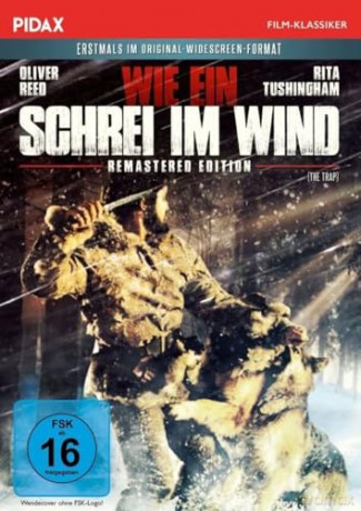 Wie ein Schrei im Wind [DVD]