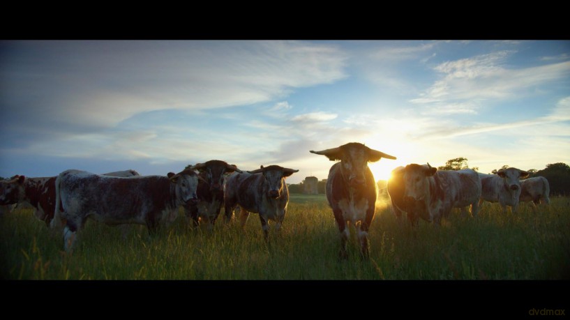 WILDES LAND - Die Rückehr der Natur [DVD]