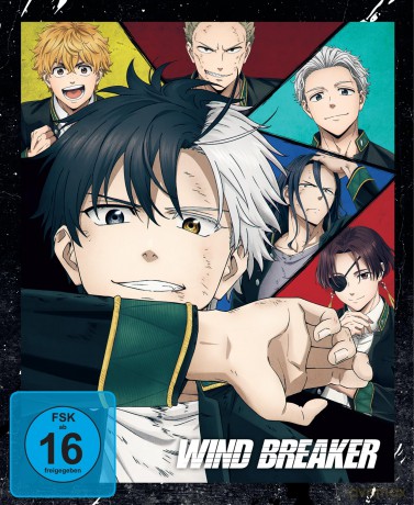 Wind Breaker - Staffel 1 - Vol.1 - [DVD]