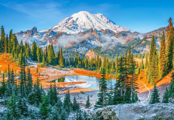 CASTORLAND 1000 el. Mount Rainier National Park USA C-105496-2 [PUZZLE]