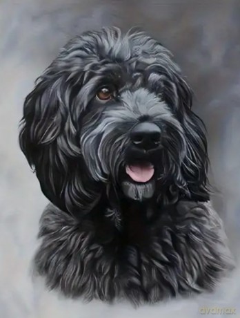 Diamentowa Mozaika Pies czarny Cockapoo NO-2003066