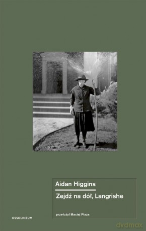 Zejdź na dół, Langrishe - Aidan Higgins [KSIĄŻKA]