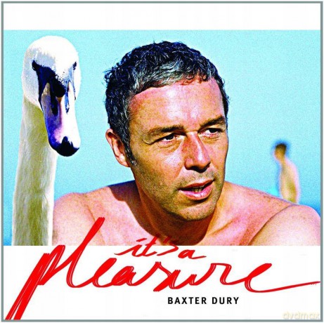 Baxter Dury: It's A Pleasure [Winyl]