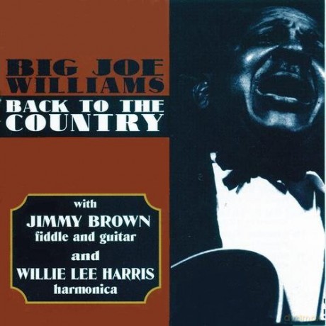 Big Joe Williams: Back To The Country [CD]