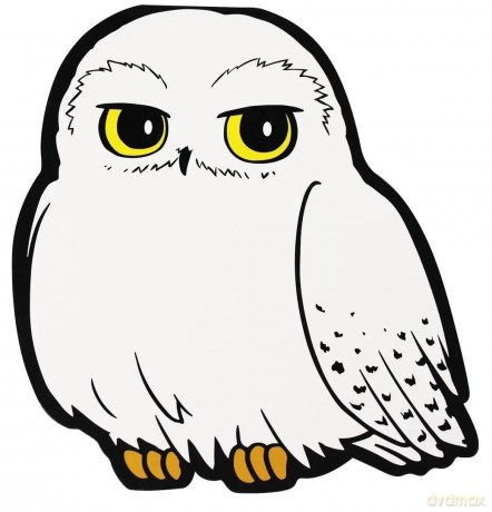 Harry Potter Notes - Hedwiga