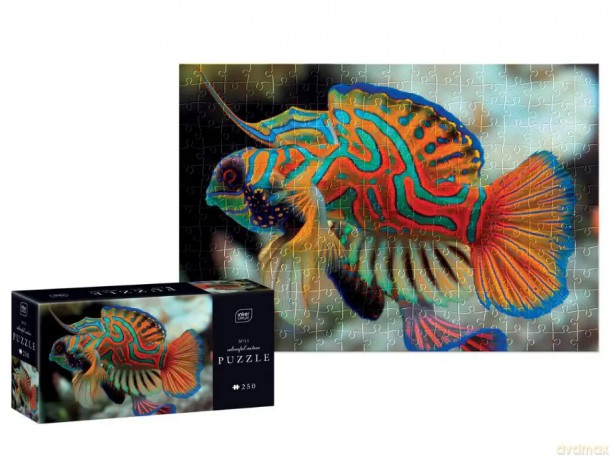 INTERDRUK 250 el. Colourful Nature 11. Ryba mandarynka [PUZZLE]