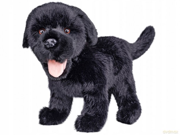 Labrador pluszowy 23cm 90455 04552