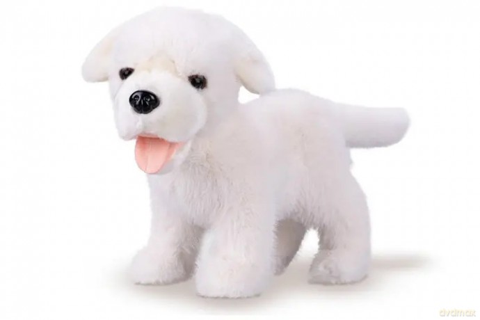 Labrador pluszowy 23cm 90456 04569
