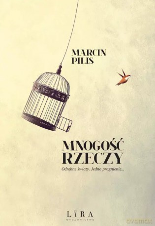 Mnogość rzeczy - Marcin Pilis [KSIĄŻKA]