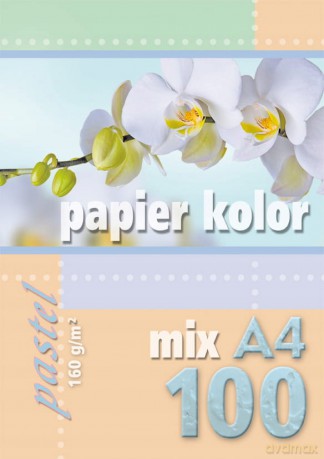 Papier biurowy Kreska format A4 160g 100 arkuszy