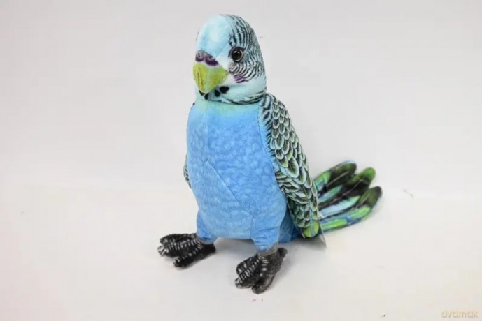 Papużka niebieska VIC 04294 42943