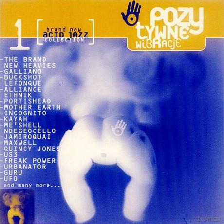Various: Pozytywne Wibracje [2CD]