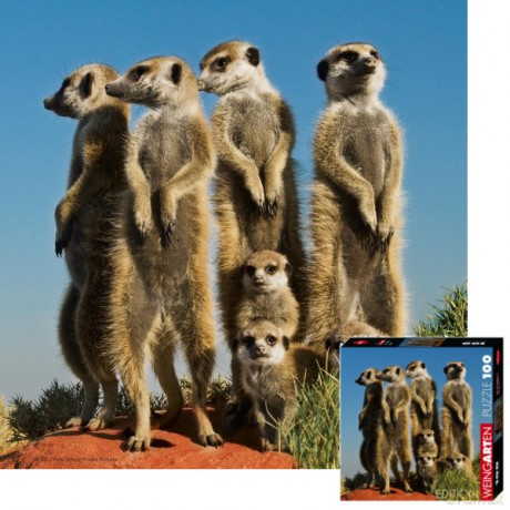 HEYE 100 EL. Surykatki [PUZZLE]