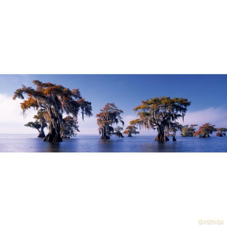 HEYE 1000 EL. Bald Cypresses [PUZZLE]