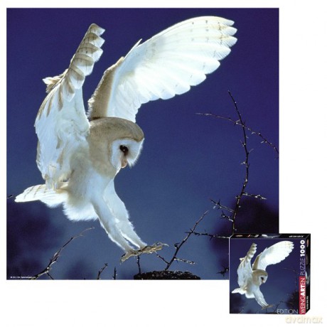 HEYE 1000 EL. Barn Owl [PUZZLE]