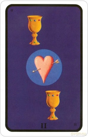 Tarot of the Witches Deck Fergus Hall [KARTY]