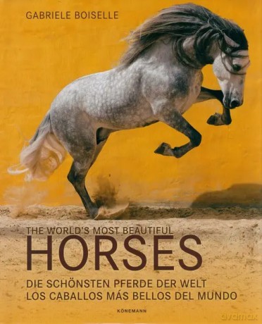 The World's Most Beautiful Horses - Boiselle Gabrielle [KSIĄŻKA]