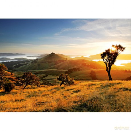 HEYE 1000 EL. Harbour Cone Todd Sisson [PUZZLE]