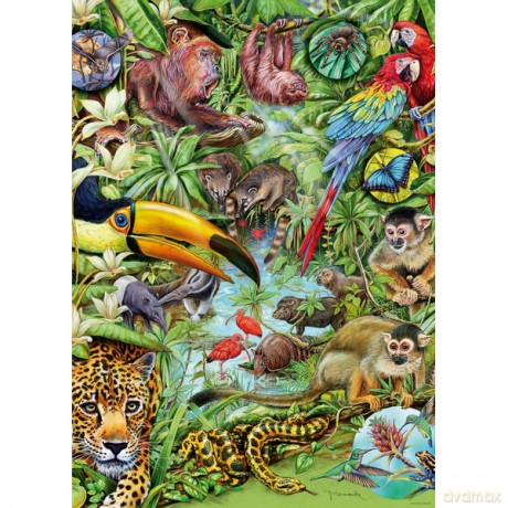 HEYE 1000 EL. Rainforest [PUZZLE]
