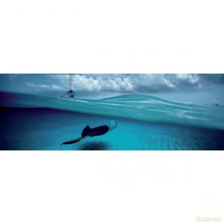 HEYE 1000 EL. Stingray Edition Humboldt [PUZZLE]