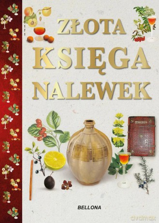 Złota księga nalewek - Anna Rodak-Śniecińska [KSIĄŻKA]