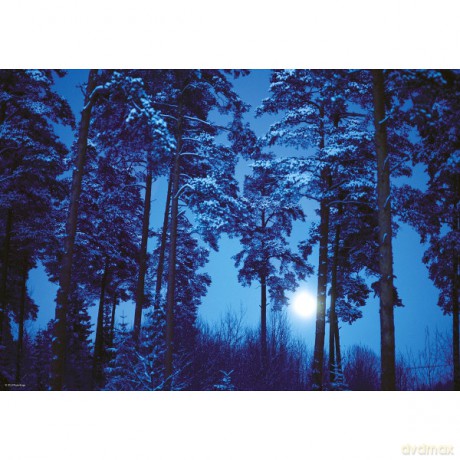 HEYE 500 EL. Full Moon Magic Forest [PUZZLE]