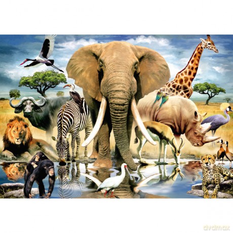 JUMBO 1000 EL. Przy wodopoju [PUZZLE]