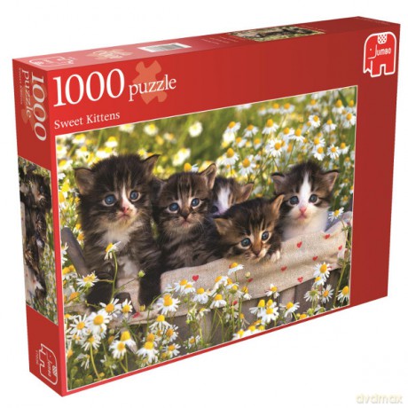JUMBO 1000 EL. Słodkie kociaki [PUZZLE]