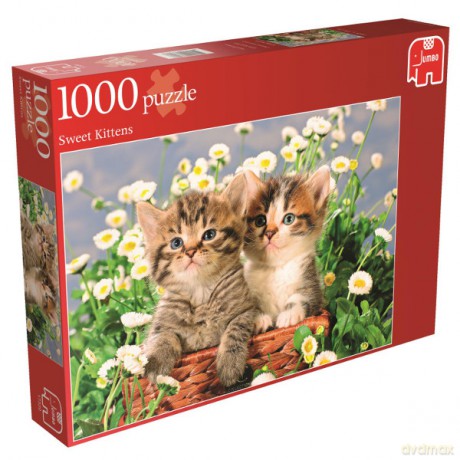 JUMBO 1000 EL. Słodkie kocięta [PUZZLE]