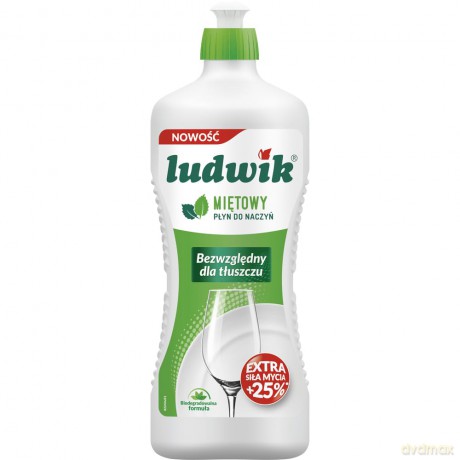 LUDWIK PŁYN D/N 900ML MIĘTA