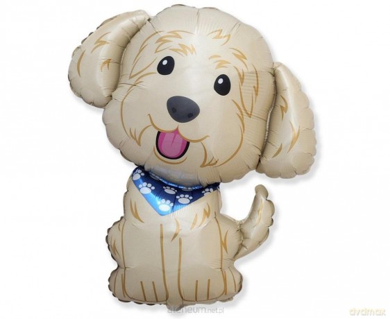 Balon foliowy Pies Cobberdog 60 cm