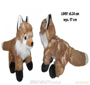 Lis 17cm