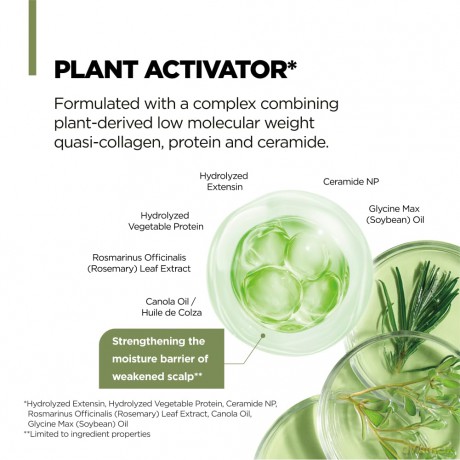 Amos Professional - Botanic Calm Activating Shampoo - 500 ml