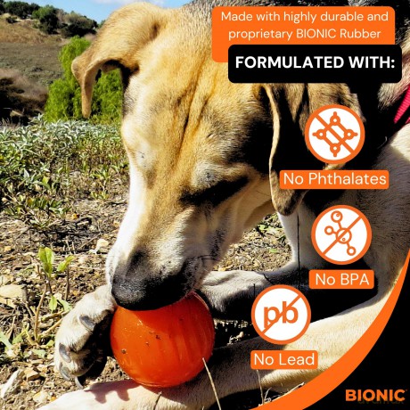 Bionic - BIONIC Ball - Bright Orange - Large 8.2 cm