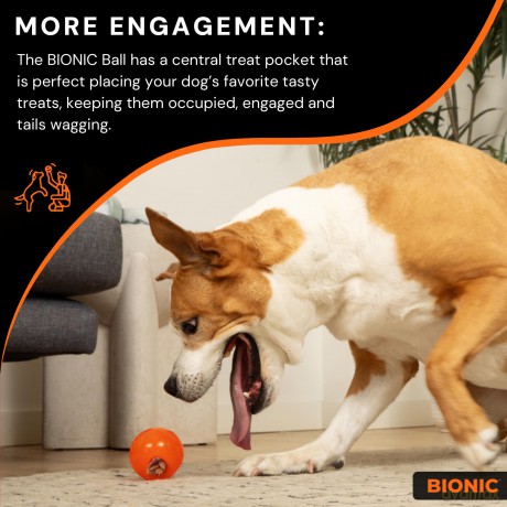 Bionic - BIONIC Ball - Bright Orange - Large 8.2 cm