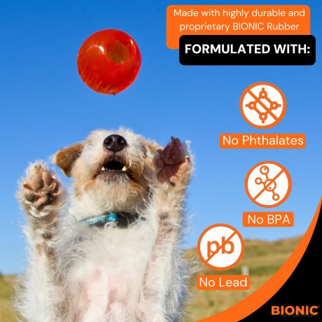 Bionic - BIONIC Ball - Orange - Small 5.8cm