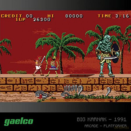 BLAZE EVERCADE Gaelco Arcade cartridge 2